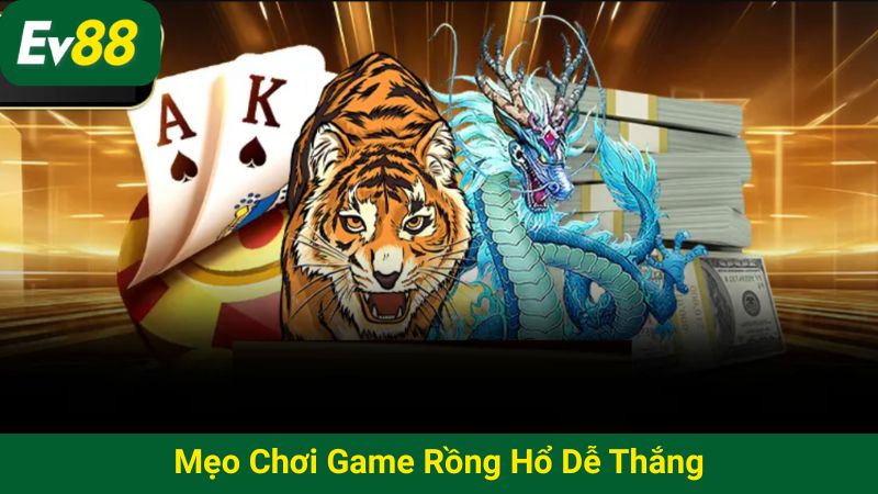 Mẹo chơi game Rồng Hổ dễ thắng