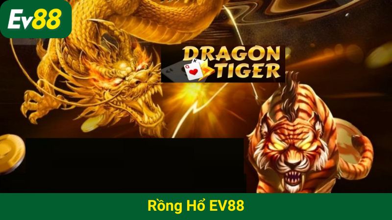 Rồng Hổ EV88