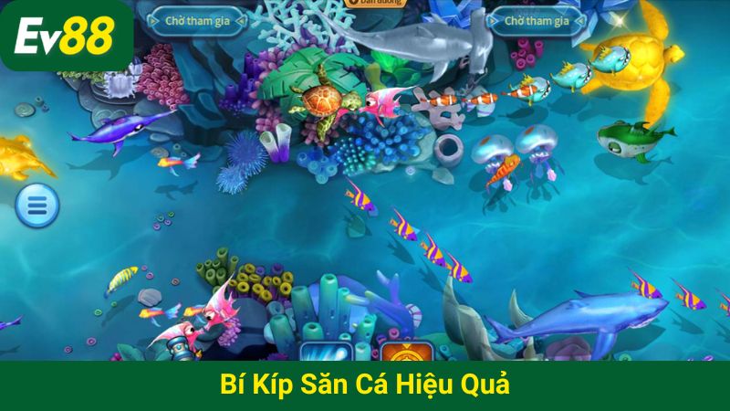 Bí kíp săn cá hiệu quả