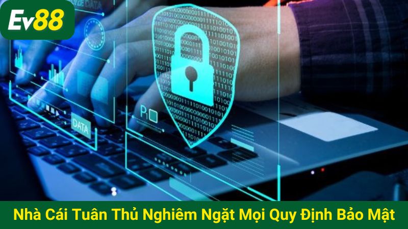 Nhà cái tuân thủ nghiêm ngặt mọi quy định bảo mật