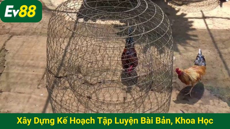 Xây dựng kế hoạch tập luyện bài bản, khoa học