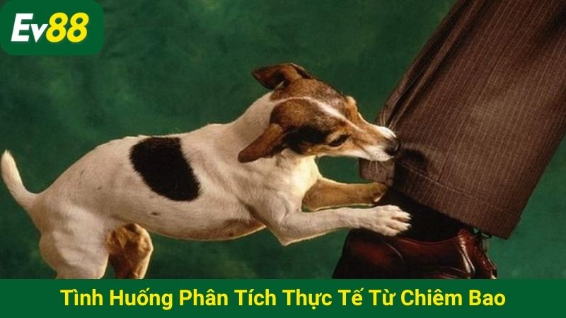 Tình huống phân tích thực tế từ chiêm bao
